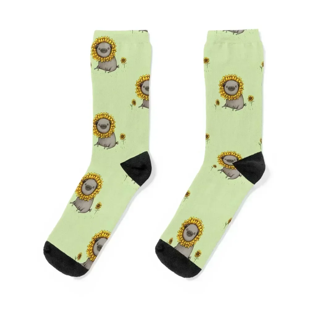

Pugflower Socks halloween sports stockings new year set Man Socks Women's