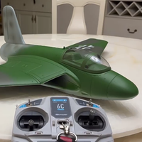 Freewing Flying Wing Model 64mm P.15 \