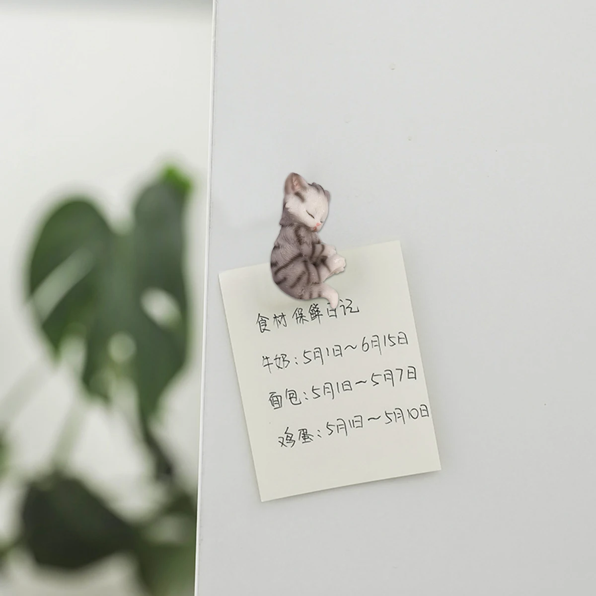 

Cute Kitten Fridge Magnets Decorative Magnetic Stickers for Refrigerator Home Office Grey Color Realistic Design Timber