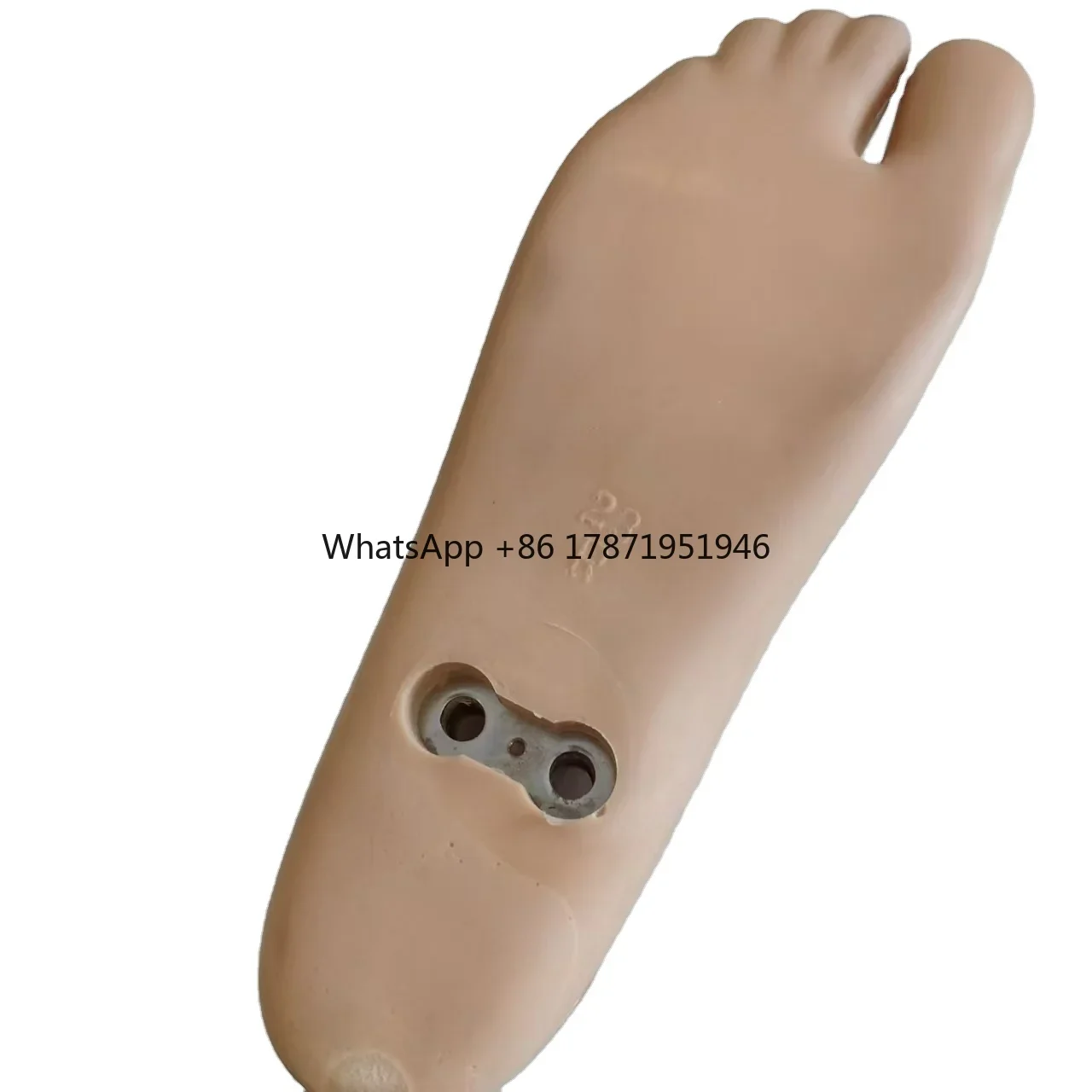 prothese part double axis foot of fake-leg/ legs