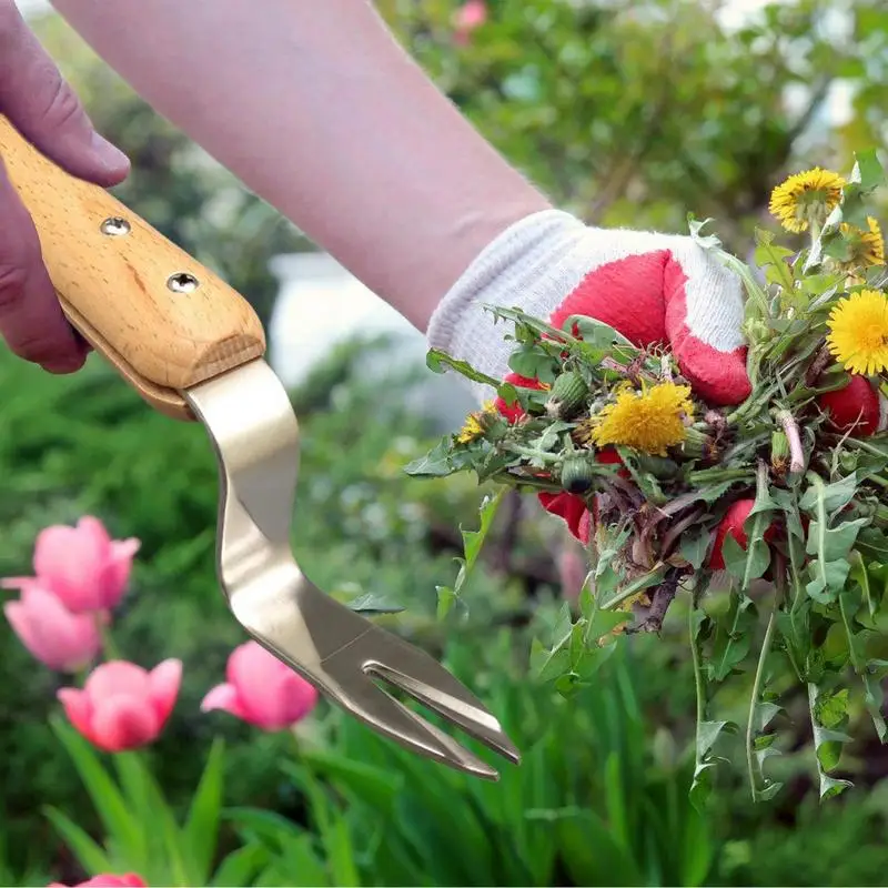 Outil de désherbage manuel en acier inoxydable, désherbeur manuel, extracteur de désherbage, fourche de désherbage de jardinage