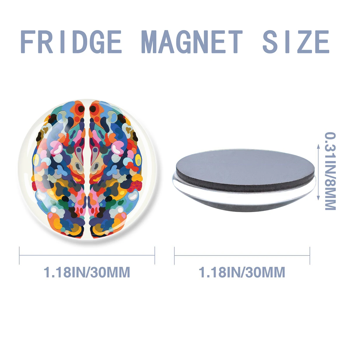 1pc Human Brain Anatomy Design Fridge Magnet 30MM Glass Magnetic Refrigerator Stickers for Gift