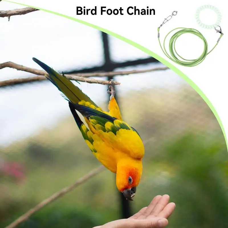 Bird Flying Training Rope Outdoor Detachable Parrot Pet Flying Rope Biting-Resistant Bird Training Toy with Ankle Foot Ring for