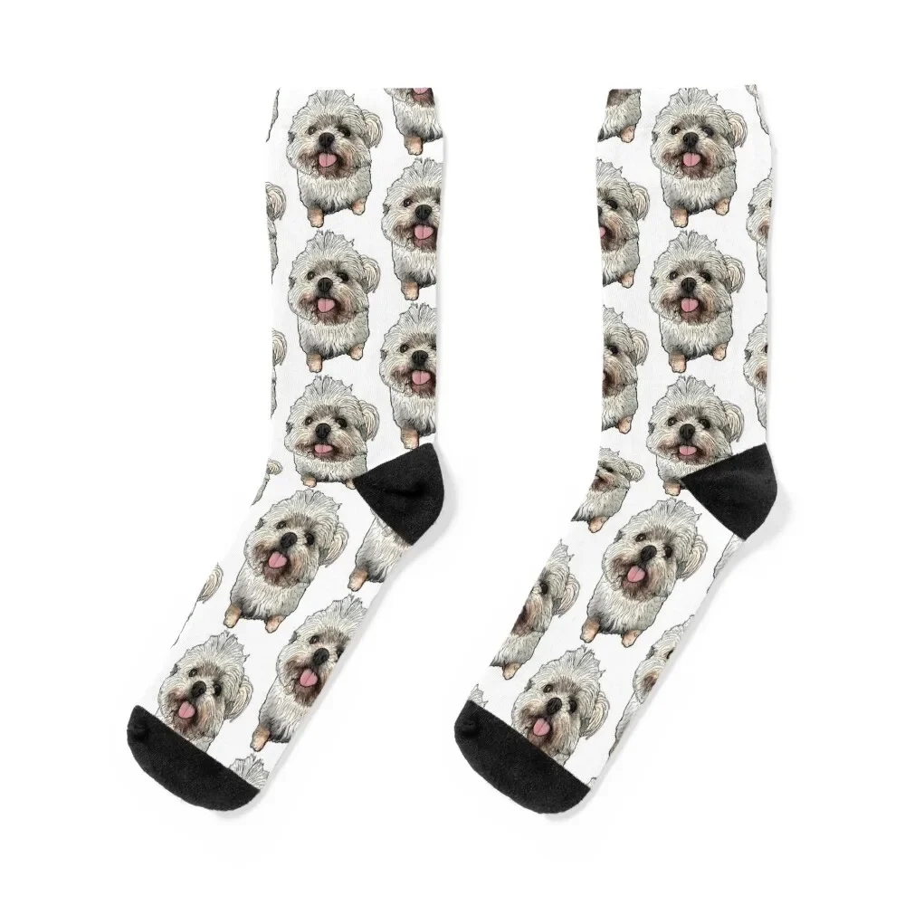 

Rosie Shih Tzu Socks Argentina happy funny gifts Run Women's Socks Men's