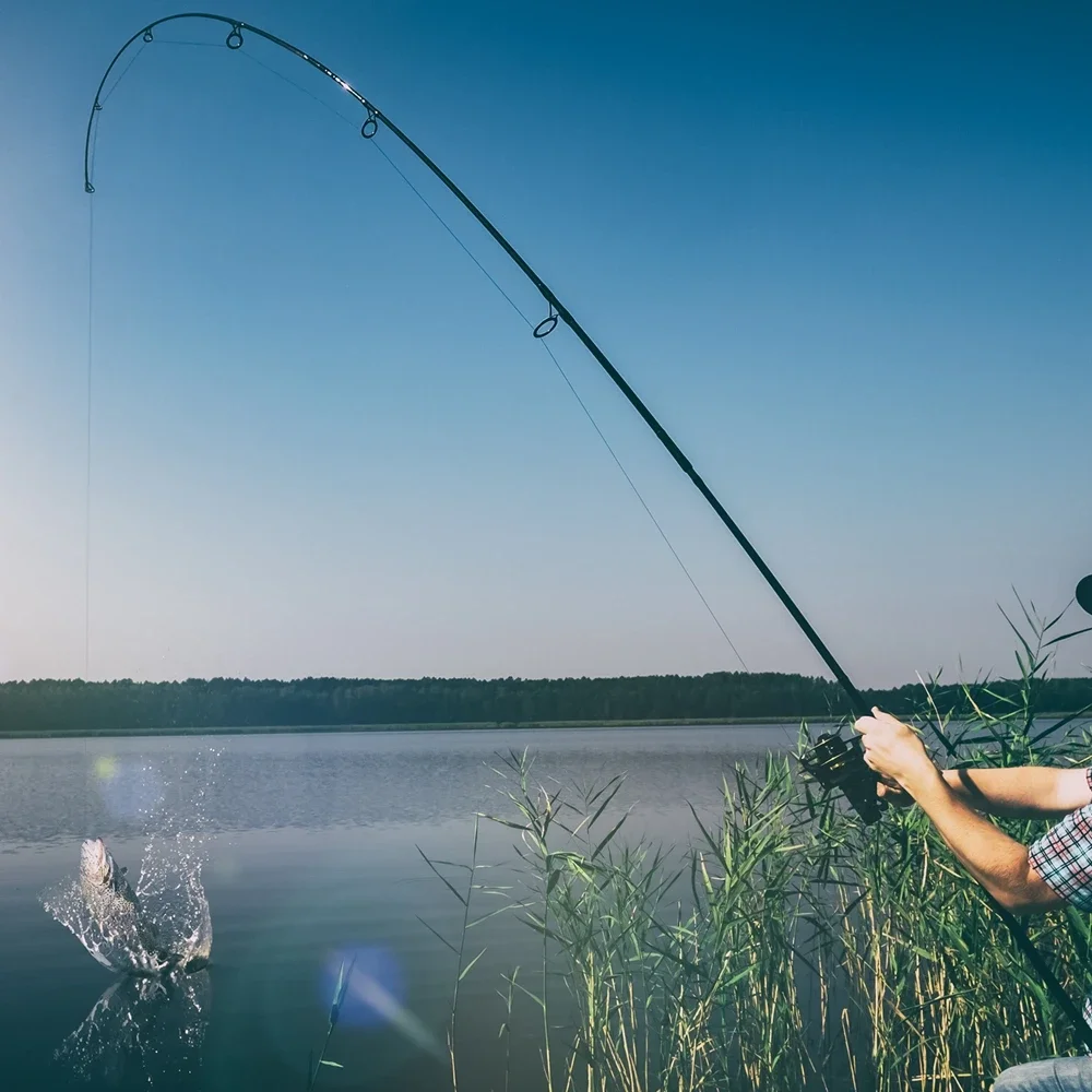 Goture Dual Tip Spinning Fishing Rod LEIMAX 2.1m 2.4m M MH Power 24T High Carbon Blank Guides EVA Split Grip Lure Fishing Rod