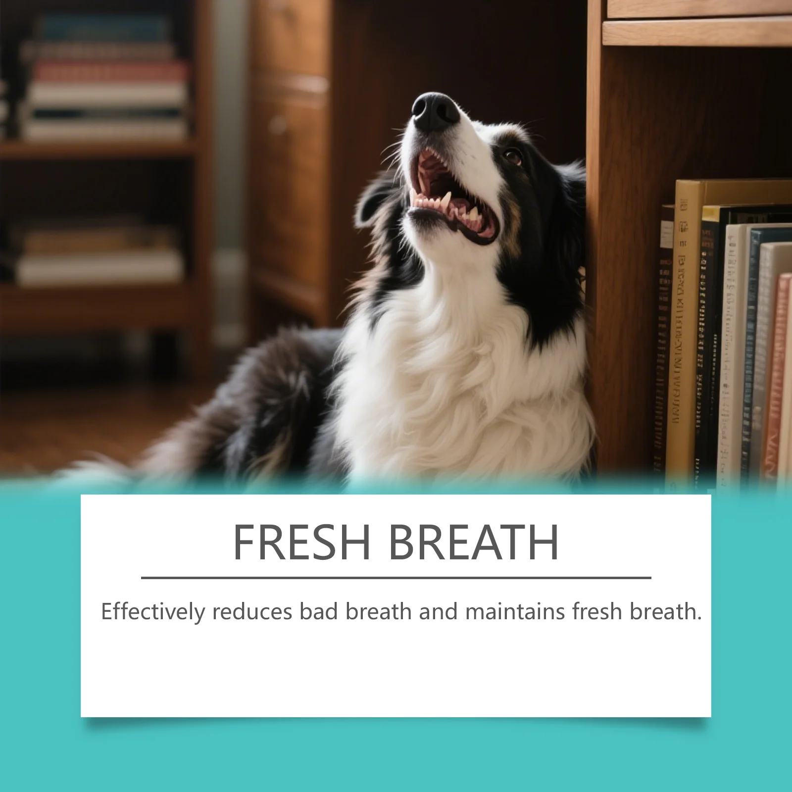 Plant-Based Pet Dental Care Spray Oral Hygiene for Cats & Dogs Eliminates Bad Breath Cleans Teeth without Brushing