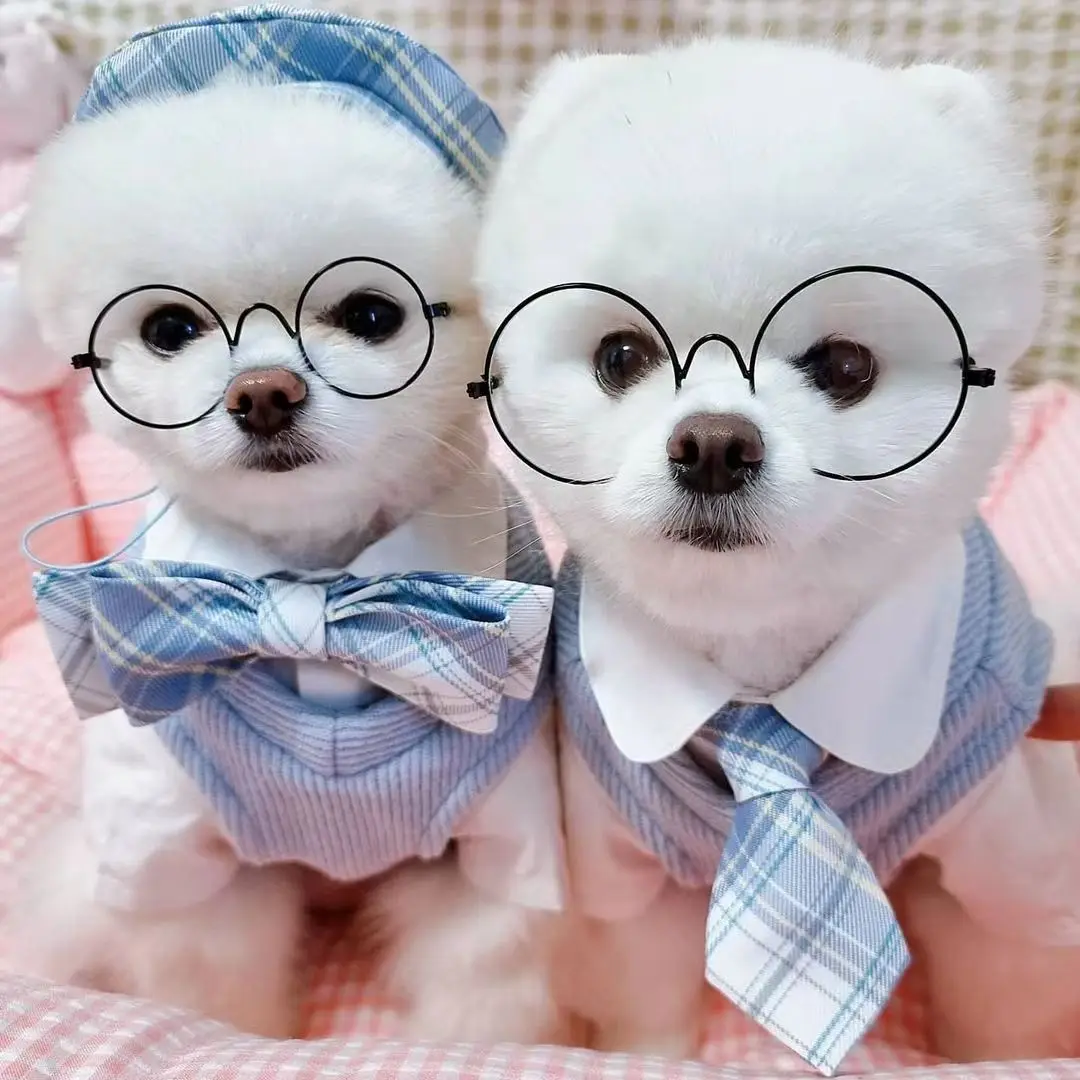 New Ins Pet Jk Uniform Accessories Dog Plaid Bow Tie Tie Dog Accessories Yorkshire Schnauzer Dog Collar Cat Collar Fashion