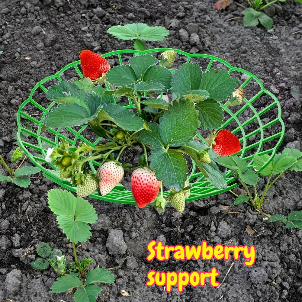 6-24pcs Green Plastic Strawberry Plant Support Stand with 3 Sturdy Legs, Anti-Rot Fruit Holder Tray, Potted Gardening Accessory