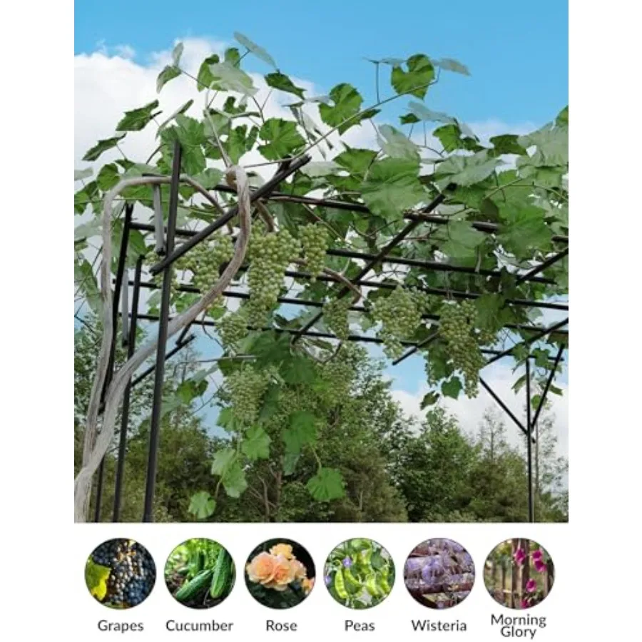 Heavy-Duty Flat Top Garden Trellis for Climbing Plants, 80 Square Dome-Style Grape Growing Frame, Plastic Garden Arch for Weddi