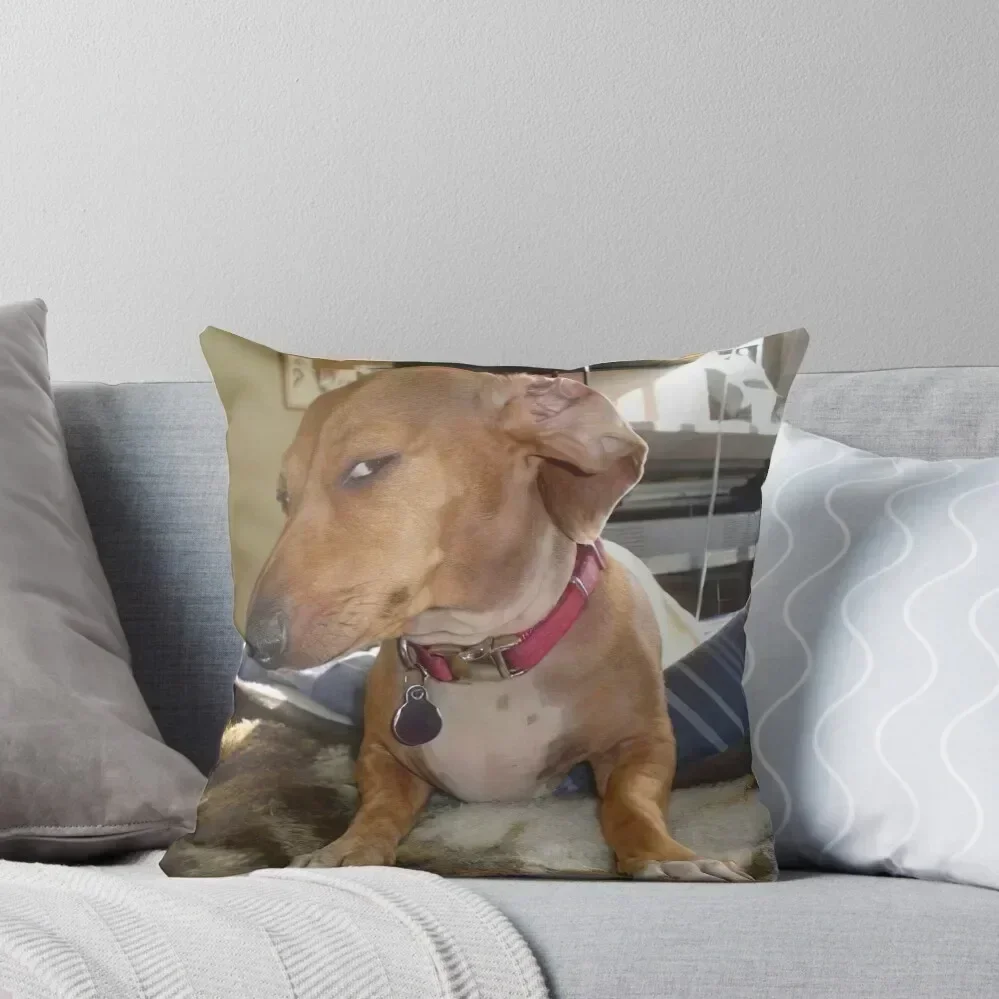 

SIDE EYE DOG MEME SUS Throw Pillow Pillow Cases Decorative Marble Cushion Cover Bed pillowcases Cushion Cover Set pillow