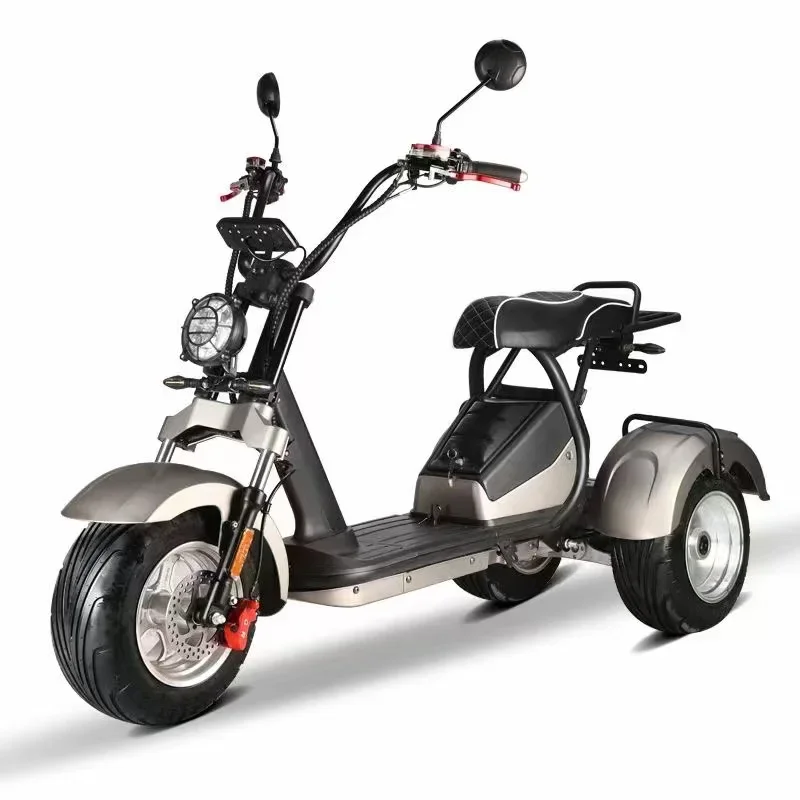 10 Inch Fat Tire Trike Electric Vehicles Three Wheel Electric Scooter Citycoco 2000W 3 Wheels Electrical Mobility Scooter