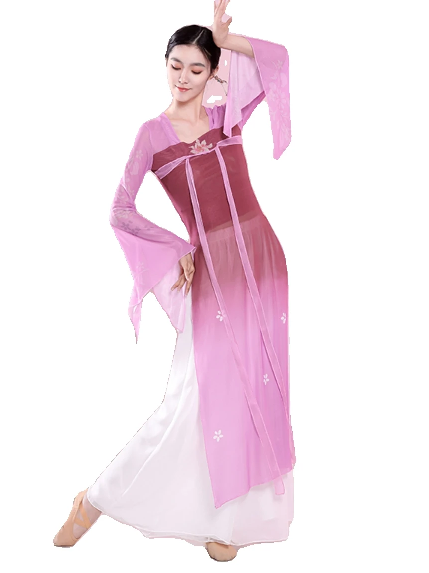 Classical Dance Wear Women Practice Clothes Floating Long Gradient Sarong Women Chinese Dance Costume Stage