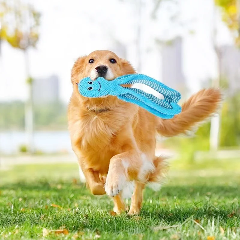 Haustier Plüsch Spielzeug Katze Hund Stimme Octopus Shell Puzzle Spielzeug Biss resistent interaktive Haustier Hund Zähne Reinigung Kauen Spielzeug Haustier liefert