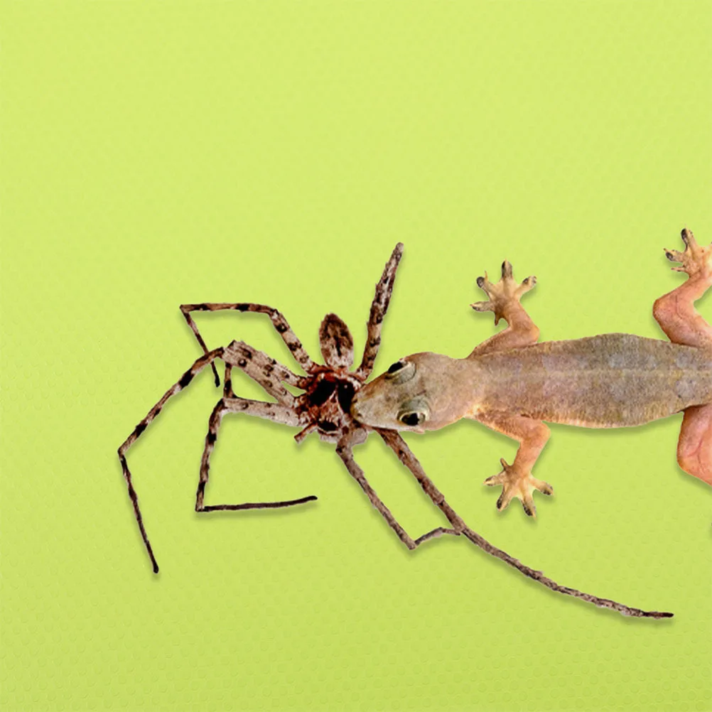 

Reptile Carpet Terrarium Liner Substrate Mat For Bearded Dragon Leopard Gecko Turtle Snake Eva Bedding Floor Protector