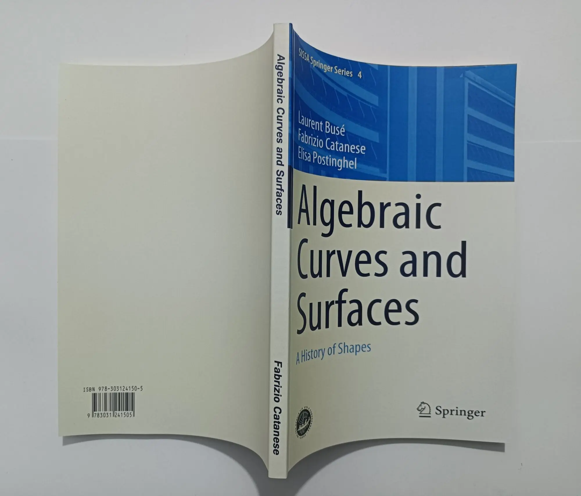 Algebraic Curves And Surfaces: A History Of Shapes