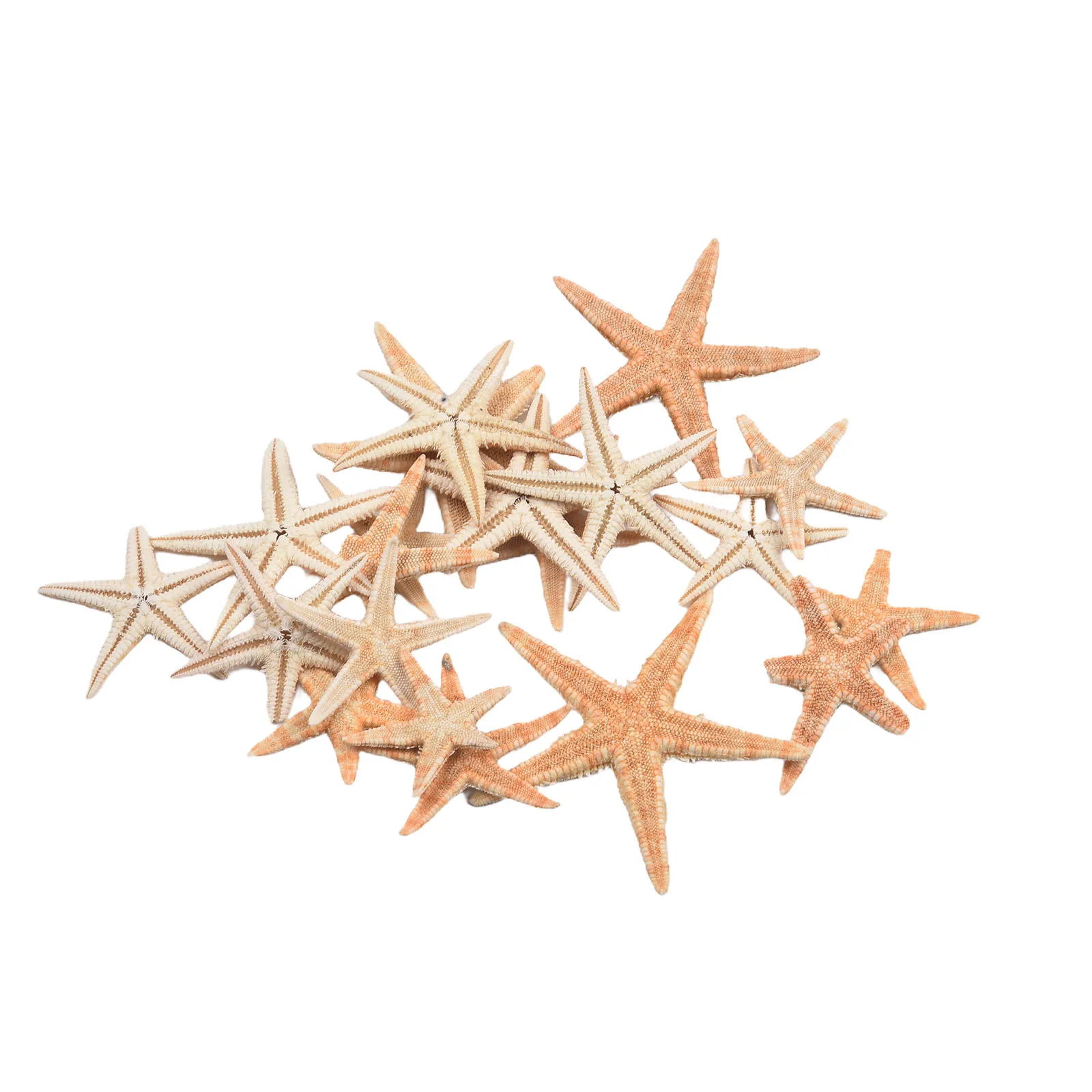 Craft Project Fish Tank Measurement Error Natural Starfish Starfish Fish Tank Multi Usage Options Candle Making