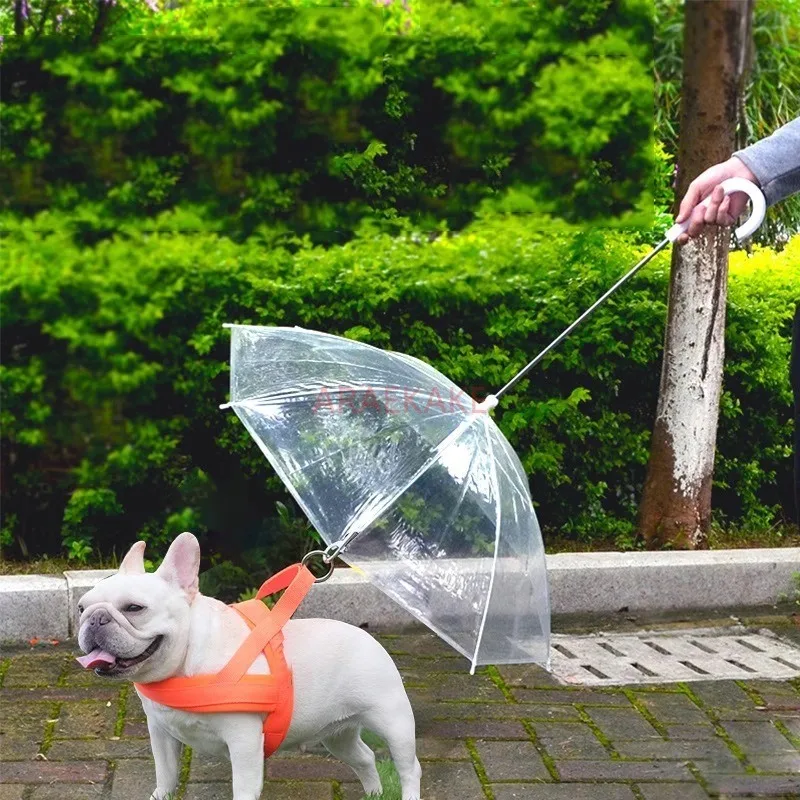 Pet specific dog umbrella Rain walking dog artifact corgi raincoat transparent dog umbrella Teddy small and medium-sized dogs