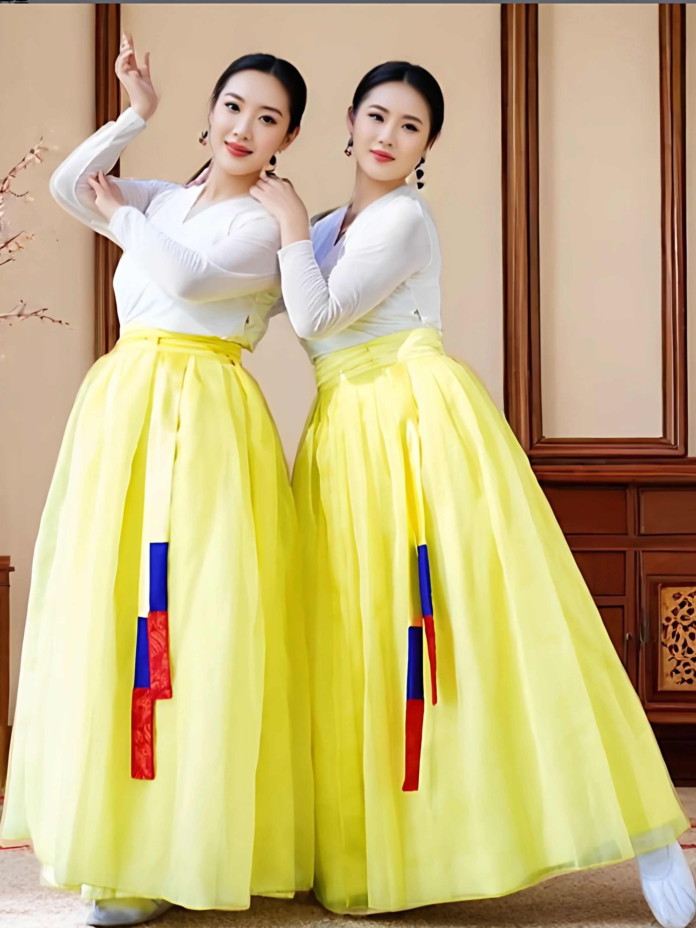 Korean Ethnic Dance Costume Women's Top Practice Uniform Half-length Skirt Performance Outfit Traditional Stage Wear