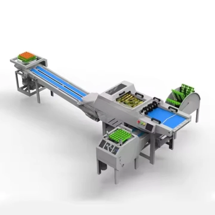 Stainless Steel Egg Sorting Machine Anti Corrosion Egg Grading Machine for Fresh Egg Processing Factory