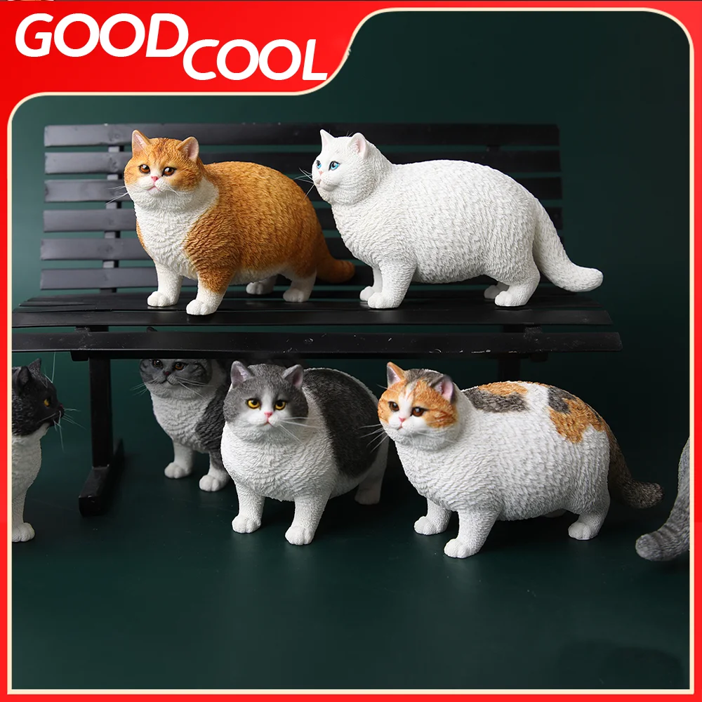 

JXK JXK064 масштаб 1/6, смола, разные типы, статуя толстого кота, милое короткое украшение для волос для 12-дюймовых фигурок, аксессуары, подарки