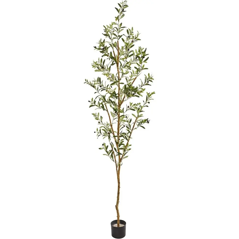 82-Inch Tall Olive-…