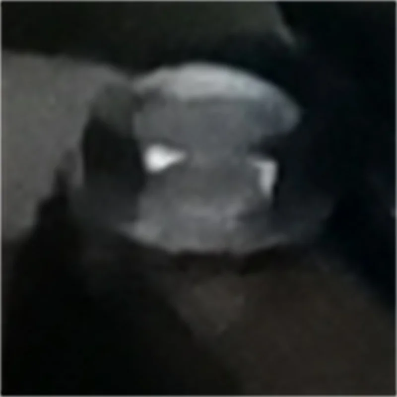 110V 220V Automatic…