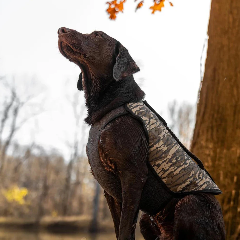Christmas Pet Jacket Costume: Hunting Vest Shirt for Large Dogs, Festive Dog Clothing