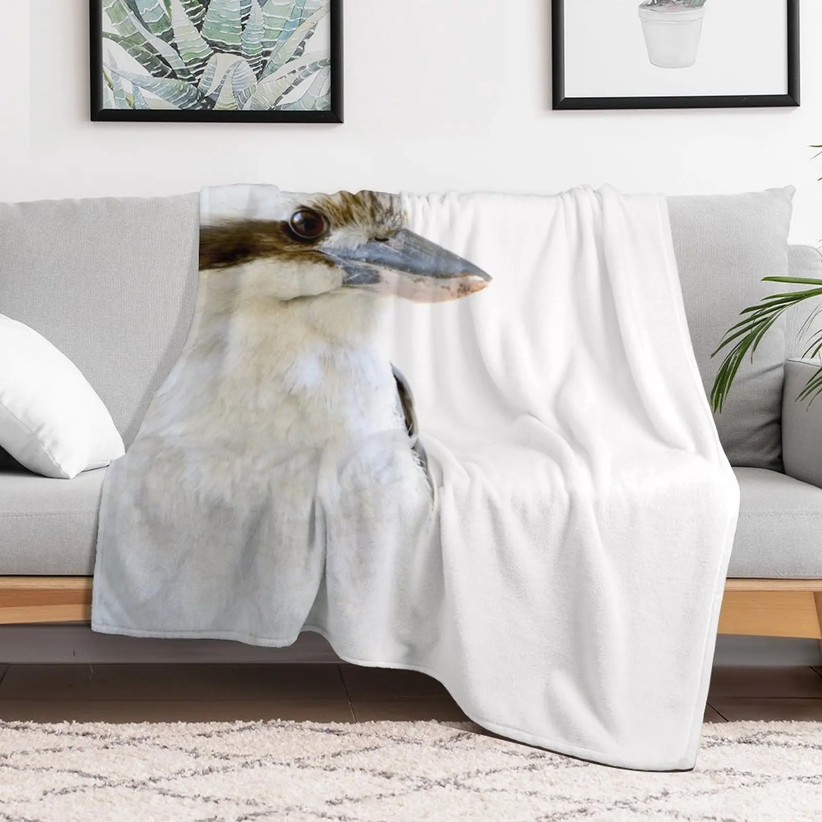 Kookaburra Looking Throw Blanket Single Flannel Warm Shaggy Blankets