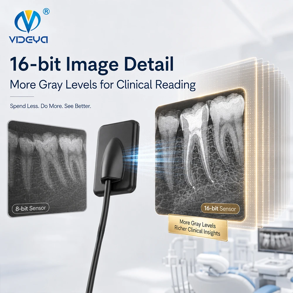 RVG Dental Sensor Photon Counting Intraoral X Ray Free Software TWAIN IP68 High Resolution Clinique Sensor Dental