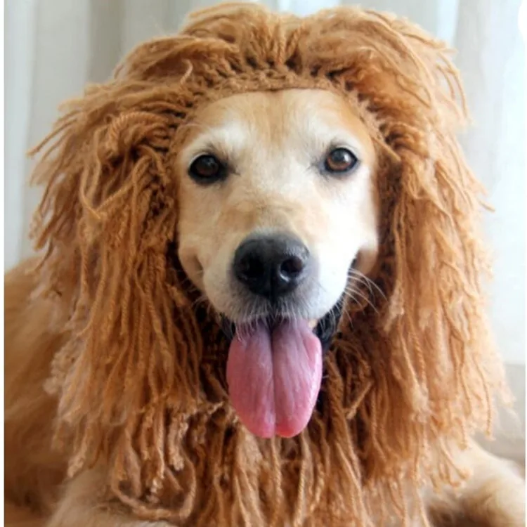 22 New Dog Wig Golden Lion Head Style Funny Dress Handmade Halloween Pet Headgear