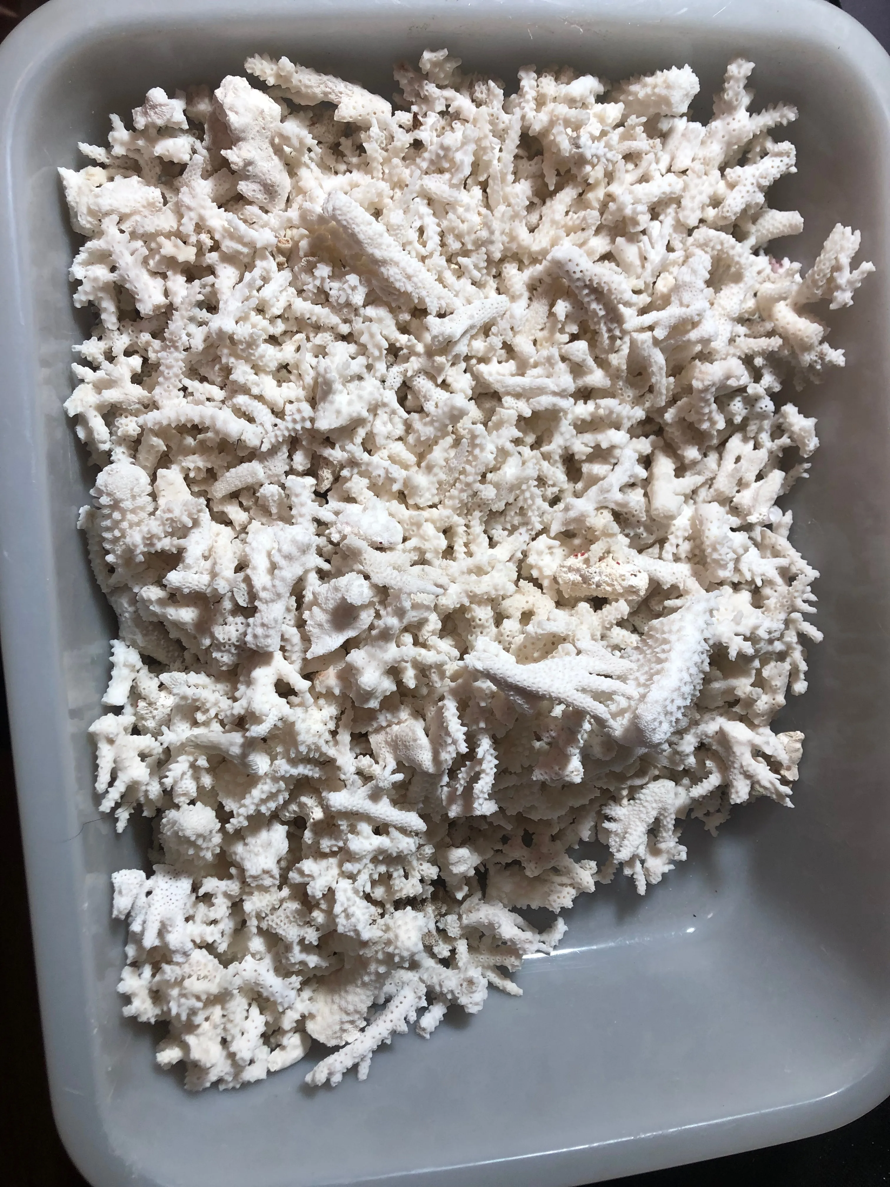 100 Grams Of Natural White Coral Broken Branch Small Pieces For Aquarium Landscape Decoration And Playful Display In Various