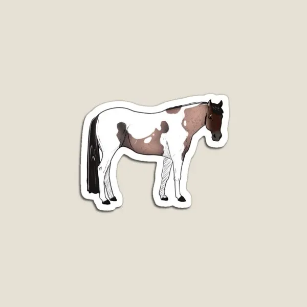 Bay Roan Tovero American Quarter Horse  Magnet Refrigerator Kids Funny Stickers Home Children  Holder Magnetic Colorful