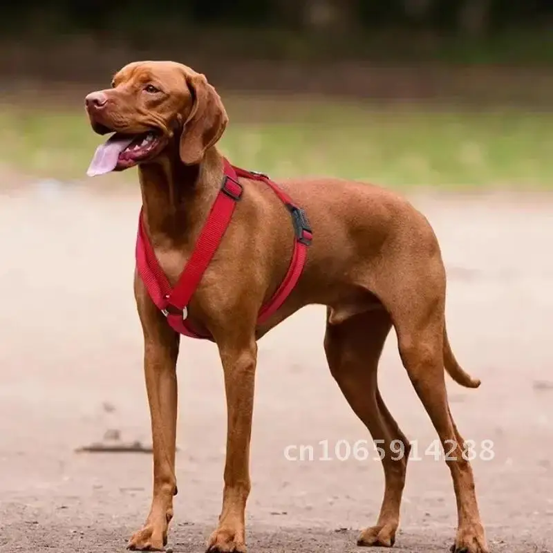 كبير الكلب تسخير XL النايلون سلالة صغيرة متوسطة الكلب سترة مكافحة زلة الحيوانات الأليفة لا H على شكل لوازم تسخير الكلاب سحب في الهواء الطلق يسخر