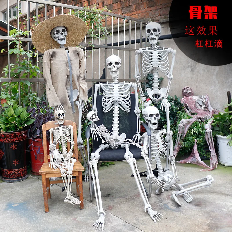 

Halloween Plastic Skeleton Decor Realistic Human Skull for Party Haunted House Bar Hanging Props