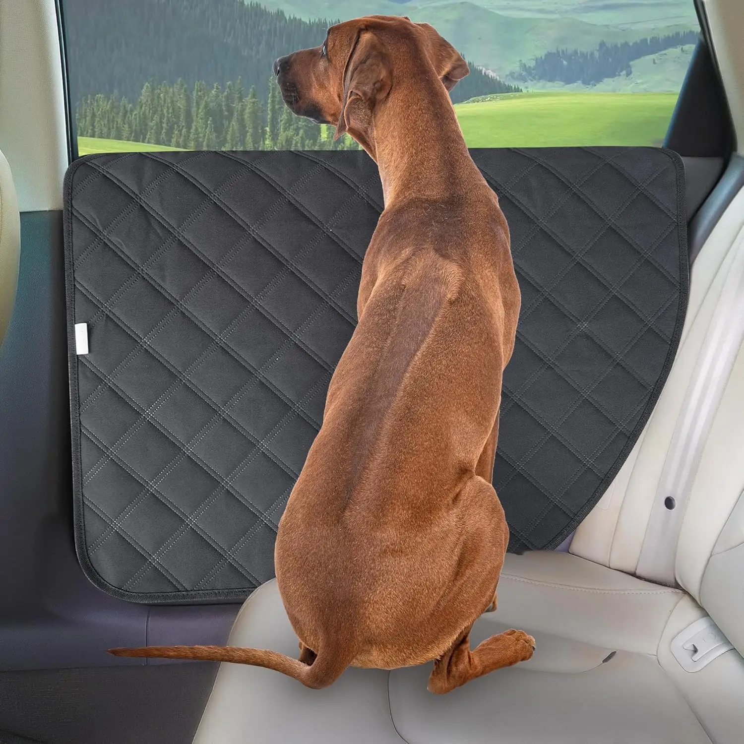 

2-Pack Dog Car Door Protector, Heavy Duty Fabric Prevents Scratches, Fits Cars/SUVs/Trucks