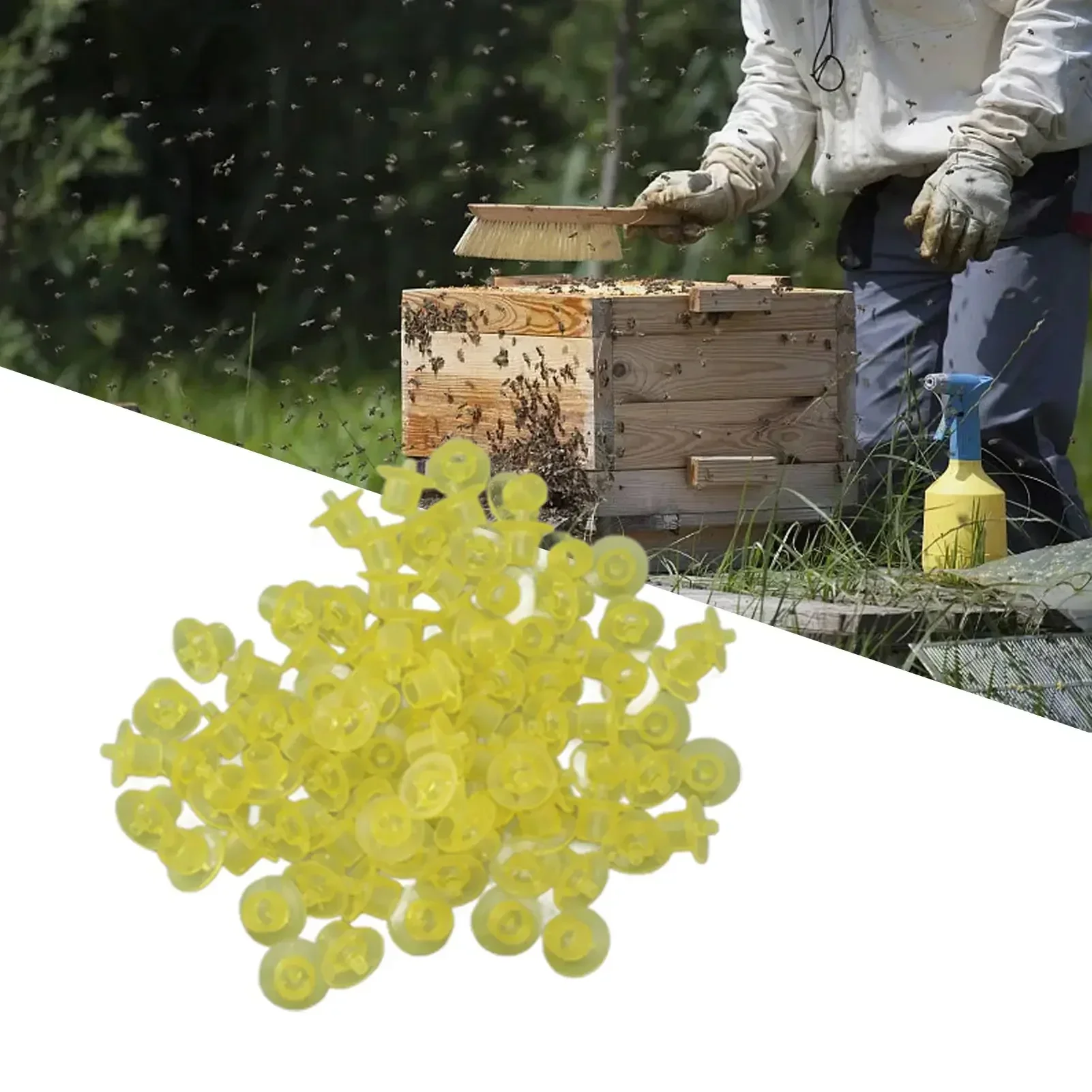 100PCS Queen Bee Rearing Cup Plastic Vivid Color Beekeeping Bee Cell Cup For Beekeeper Equipment Bees Tools