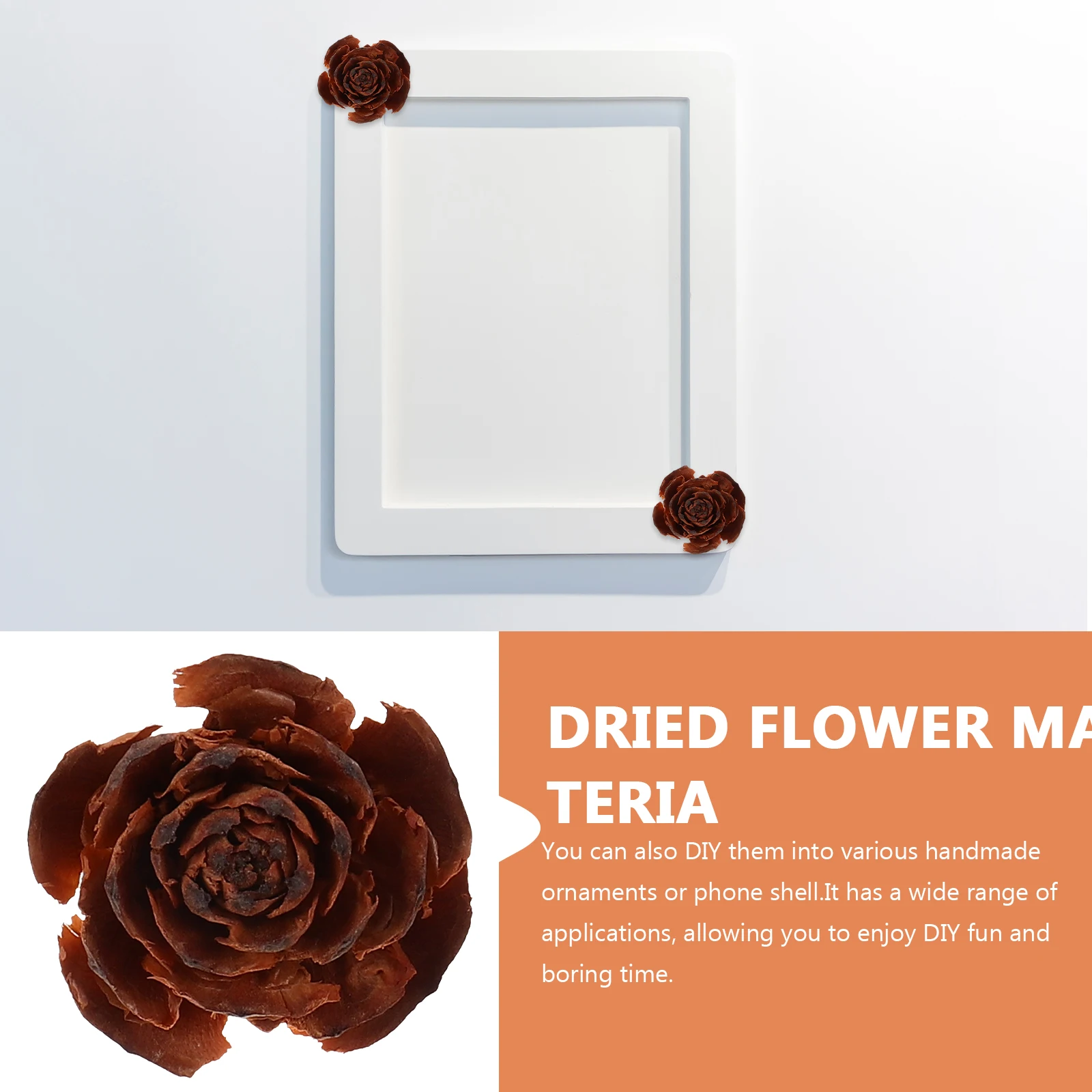 10 pezzi di fiori secchi campioni di fiori secchi naturali materiale per artigianato fai da te in resina arte fatta a mano decorazioni per piante campioni di materiali per la lavorazione