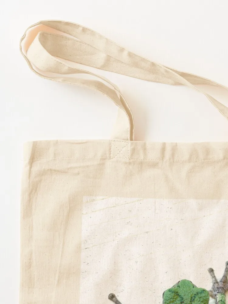Two Words Tree Frog Tote Bag ecological bags Canvas shopping trolley bag custom bags