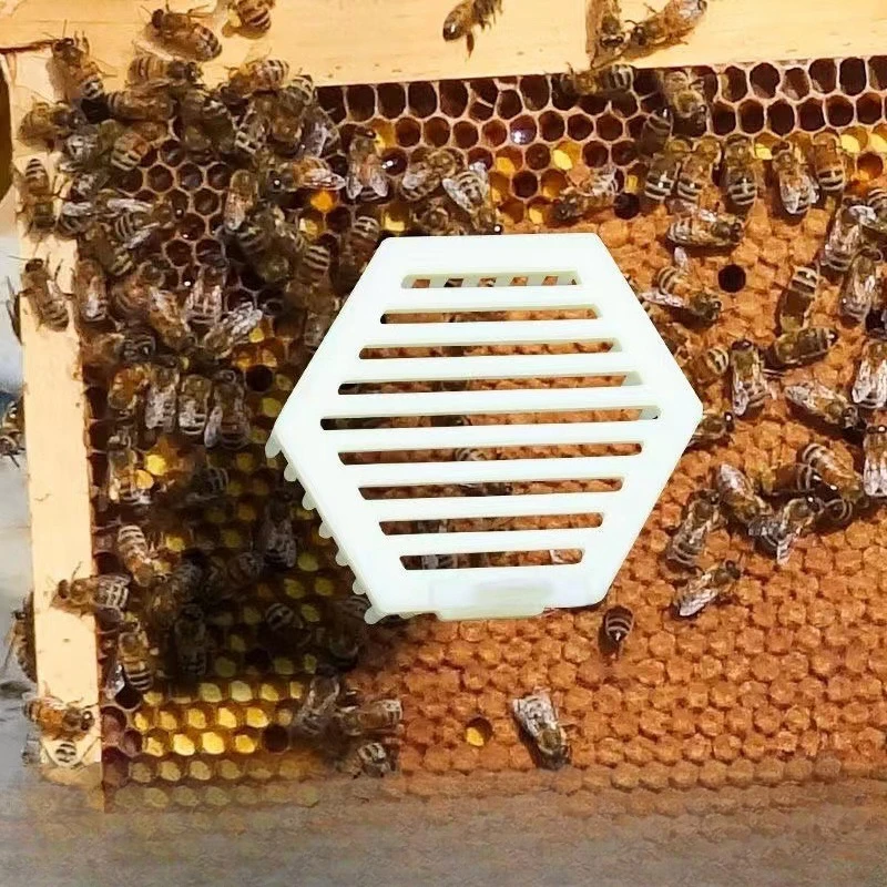 

Система выращивания клеток королевы. Пластиковые клетки для пчеловодства. Введение в король и клетка. Набор оборудования для пчеловодства.