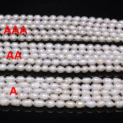 5-6mm Fashion White Rice Beads AAA Natural Freshwater Pearl Loose Spacer Beads for Jewelry Making Supplies DIY Necklace Bracelet