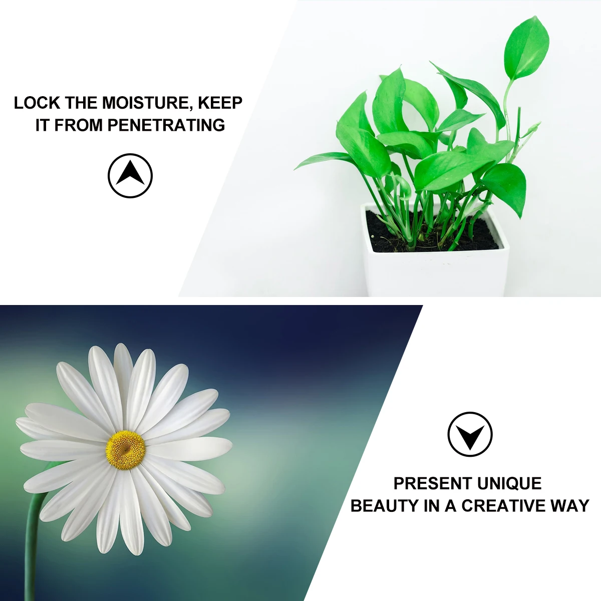 

50 Pcs Preservation Tubes Leak Free Eco Containers for Flowers Florist Supplies Long Term Freshness