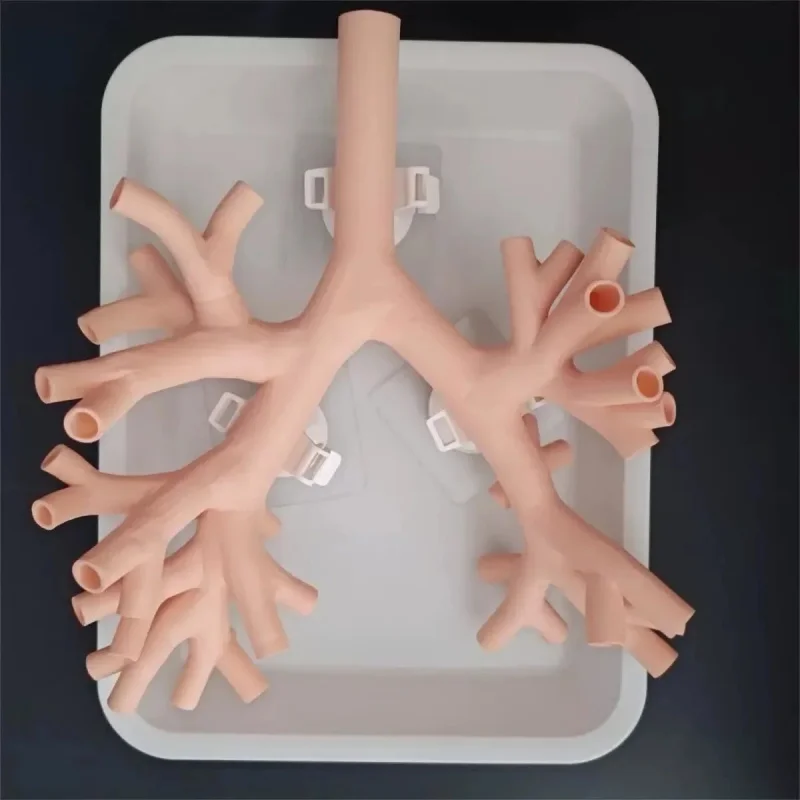 1:1 Bronchoscopy Training Model With Resin Bronchial Tree For Flexible Endoscopy Practice In Medical Education