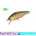 COLOR 18