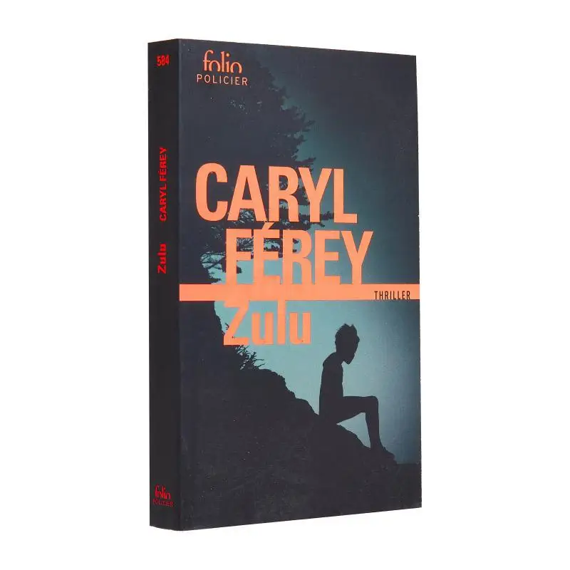 

Zulu Caryl Ferey Gallimard 9782072927614 Book