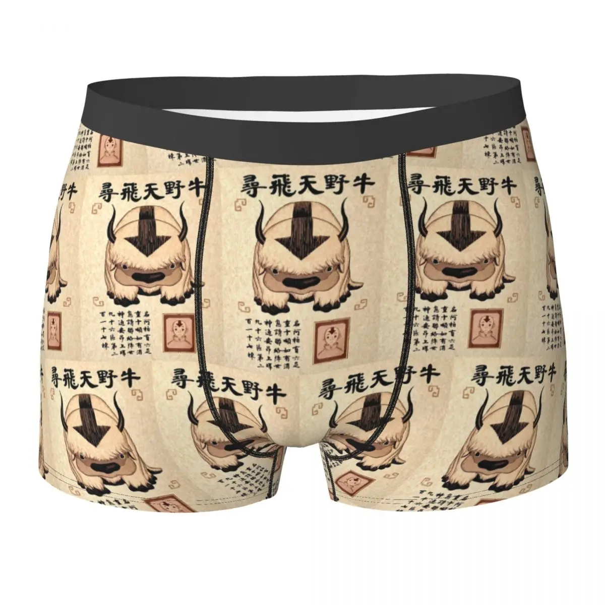 Boxer Underpants Shorts Avatar The Last Airbender Panties Men's Soft Underwear for Homme Man Boyfriend Gift