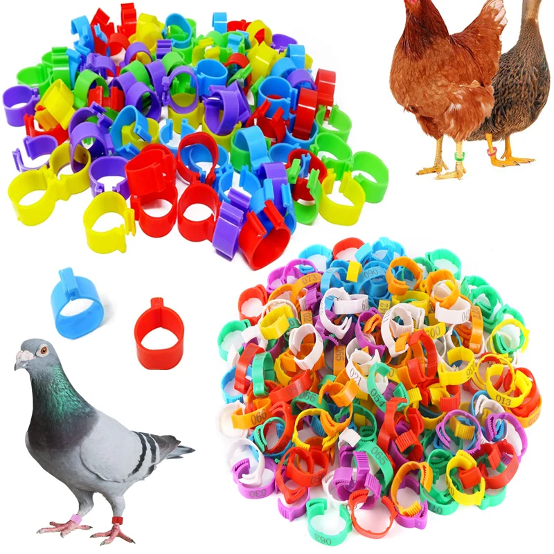 Poultry Leg Rings Chicken Foot Bands Adjustable Ratchet Clasp Snap Marking Tags for Duck Goose Pigeon Farm Feed Tool 25/100pcs view 6