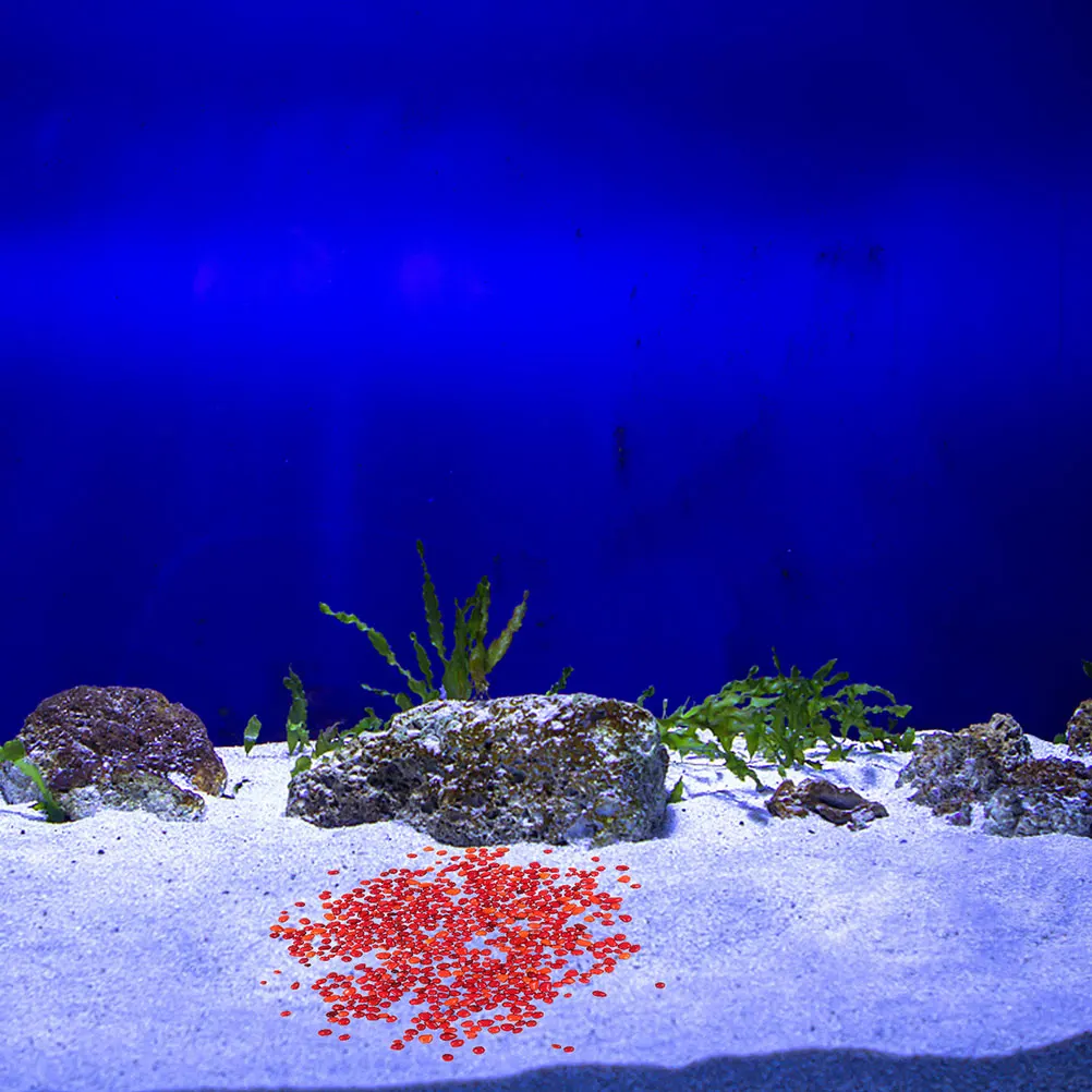 

2 Sets Fish Tank Bottom Decorative Aquarium Gravels L Bulk Glass Pebbles Terrarium River Supplies