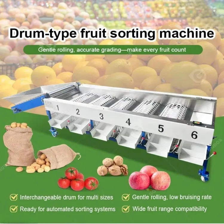 Stable Performance Vegetable and Fruit Sorting Machine for Tomatoes Citrus and Sweet Potatoes PLC Core Components