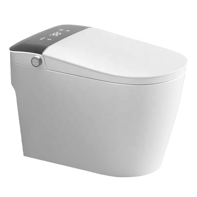 High Quality Water Closet Toilet Fully Automatic Smart Bidet Toilet with Remote Control
