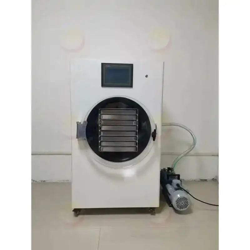 Freeze Drying Machine Small Vacuum Lab Freeze Dry Machine Home Use Mini Food Freeze Dryer Machine